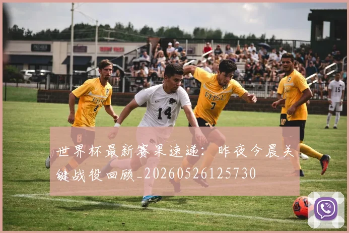 世界杯最新赛果速递：昨夜今晨关键战役回顾_20260526125730