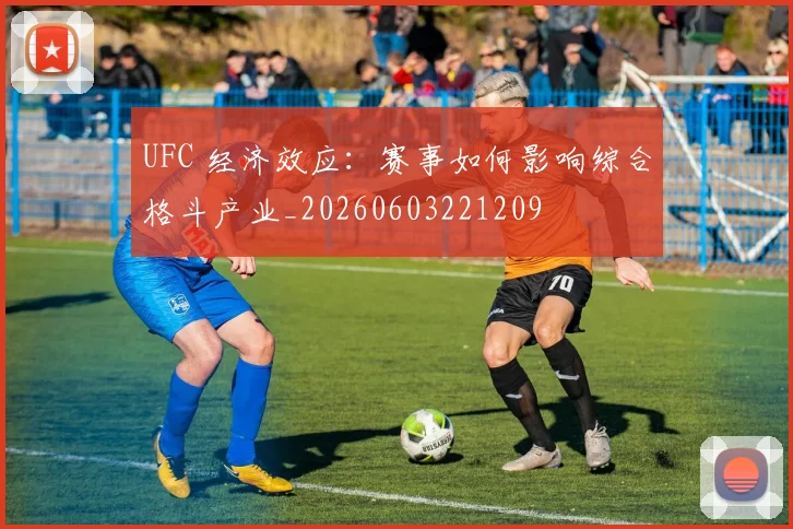 UFC 经济效应：赛事如何影响综合格斗产业_20260603221209