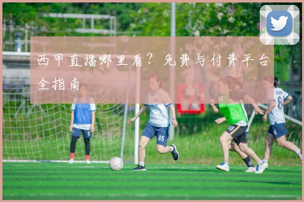 西甲直播哪里看？免费与付费平台全指南