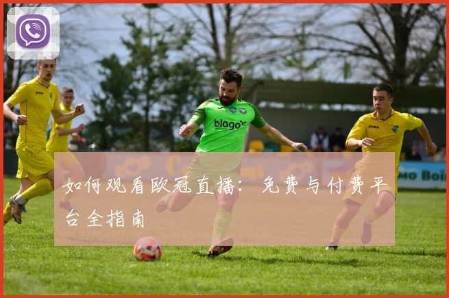 如何观看欧冠直播：免费与付费平台全指南